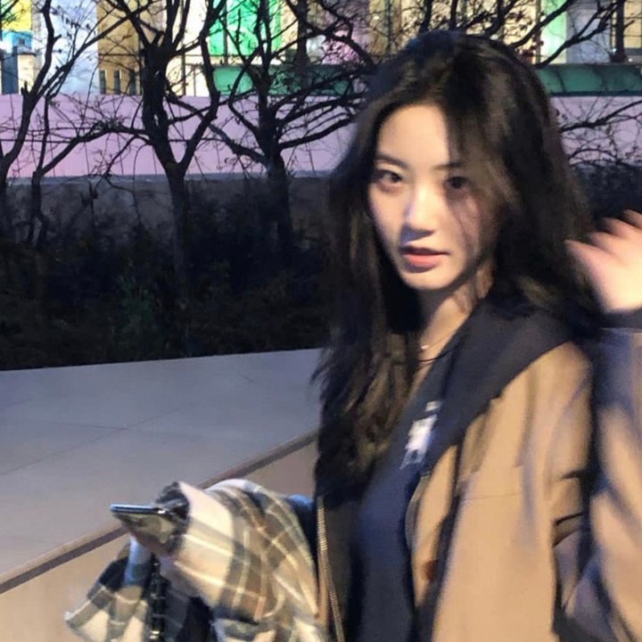 驯鹿游戏